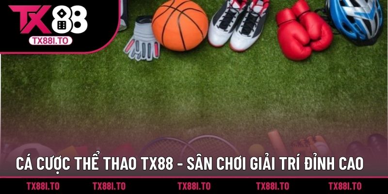 Cá Cược Thể Thao TX88 - Sân Chơi Giải Trí Đỉnh Cao 3 cá cược thể thao TX88