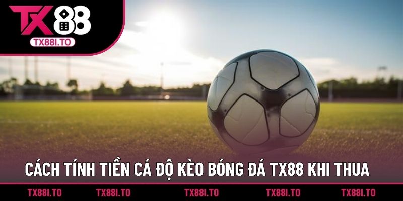 Cách tính tiền cá độ kèo bóng đá TX88 khi thua