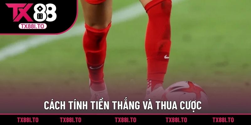 Cách tính tiền thắng và thua cược