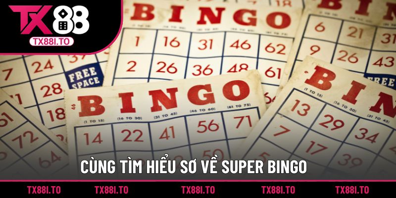 Super Bingo Của TX88 - Sảnh Giải Trí Cho Mọi Khách Hàng 1 Cùng tìm hiểu sơ về Super Bingo