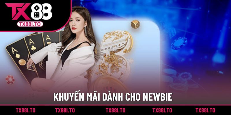 Đăng Ký TX88 || Thao Tác Nhanh Chóng, Khuyến Mãi Ngập Tràn 4 Khuyến mãi dành cho newbie