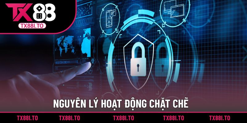 Chính Sách Bảo Mật TX88 || Cập Nhật Thông Tin Mới Nhất 2025 3 Nguyên lý hoạt động chặt chẽ