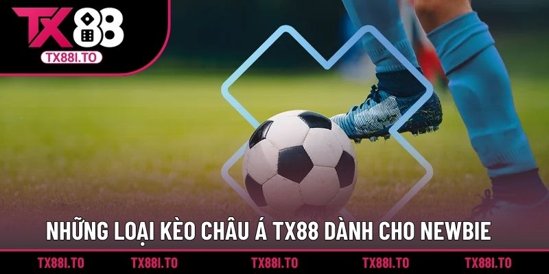 Kèo Châu Á TX88 - Hình Thức Cá Cược Dành Cho Bet Thủ  2 Những loại kèo châu Á TX88 dành cho newbie
