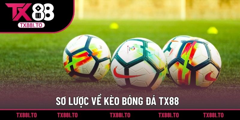 Kèo Bóng Đá TX88 - Hình Thức Cá Cược Được Yêu Thích 4 Sơ lược về kèo bóng đá TX88