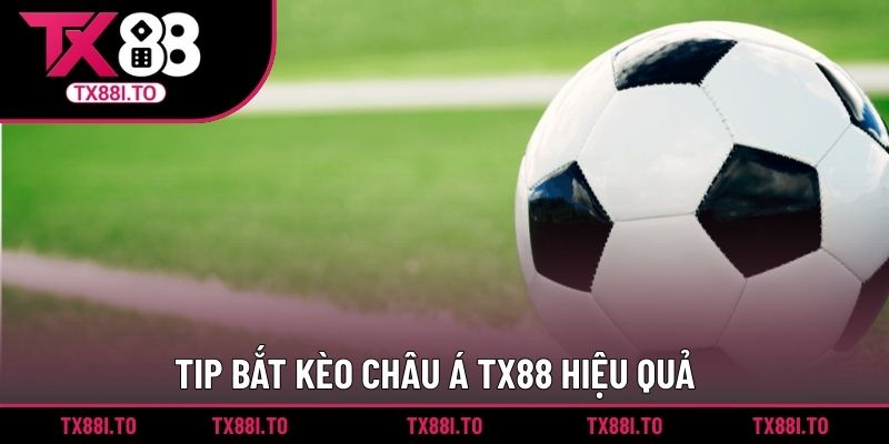 Kèo Châu Á TX88 - Hình Thức Cá Cược Dành Cho Bet Thủ  4 Tip bắt kèo châu Á TX88 hiệu quả