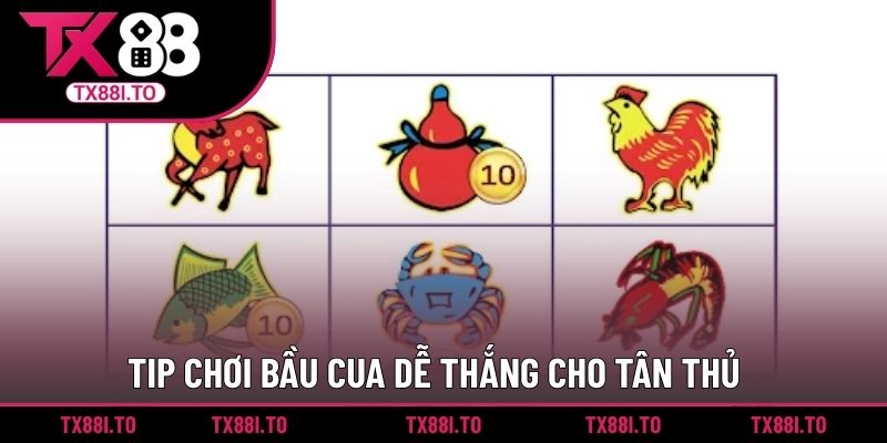 Bầu Cua Tôm Cá - Tựa Game Cá Cược Để Bạn Thử Vận May 4 Tip chơi bầu cua dễ thắng cho tân thủ